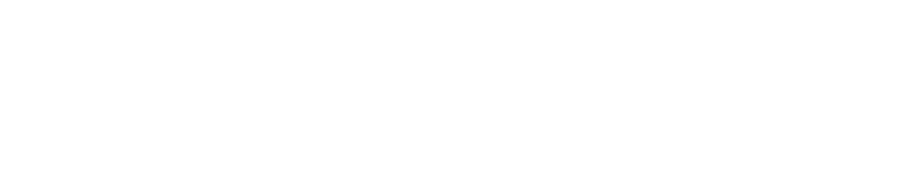 Motus Multimedia